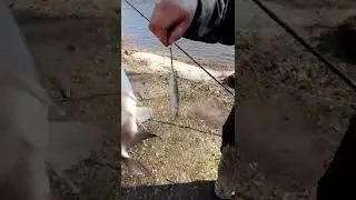 С праздником!