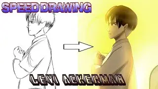 Speed Drawing Levi Ackerman Ibispaint X