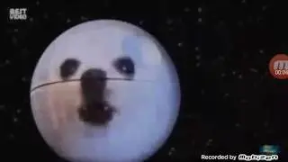 Имперский марш собачка и смерть доги😢
