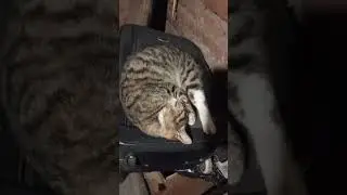 Как спать-то?