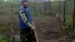 Трудники