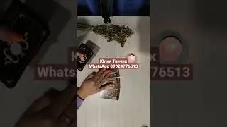 Кто вас люто ненавидит? 