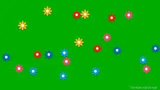 GREEN SCREEN FLOWERS ANIMATION VIDEO