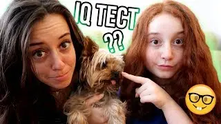 КОЛКО УМНО Е КУЧЕТО НИ ?