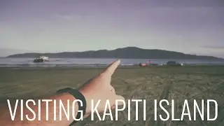 Overnight trip to Kapiti Island with Kapiti Island Nature Tours