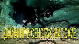 Дайвинг в сенотах Мексики, сенот Dos Ojos\Bat Cave