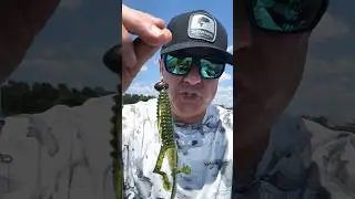 Summertime Bass Fishing: When to Throw a Biffle Bug / Wobble Head