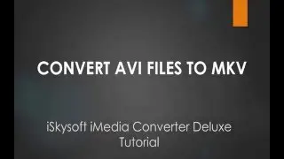 Convert AVI to MKV on Mac/Windows- iMedia Converter Deluxe