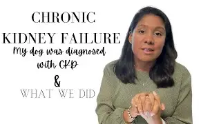 My Dog Was Diagnosed With Chronic Kidney Failure|Kidney Diet||Home Cooked Meals|Supplements