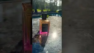 Vivamor Parfums’s Midnight Mischief is divine! What’s your fav unisex fragrance? #perfume #sotd