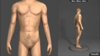 Male 3d model base V1