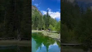 Летний Алтай #алтайскийкрай