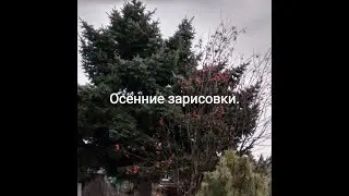 Видеозарисовки. Поздняя осень. 2020 год. Эльбан