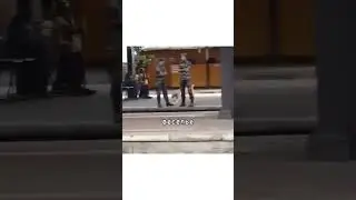 жалко собачку