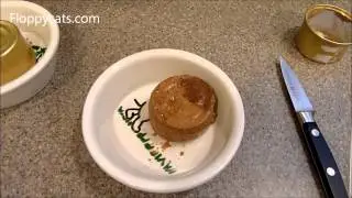 How to Get Cat Food Out of a Can Easily - ねこ - ラグドール - Floppycats