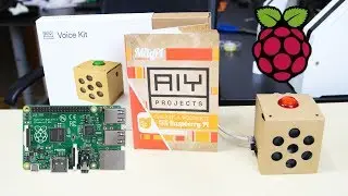 Google AIY Voice Kit
