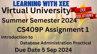 CS409P Introduction to Database Administration Practical Assignment 1 Summer 2024 VU