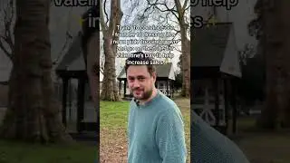 Should he do it?