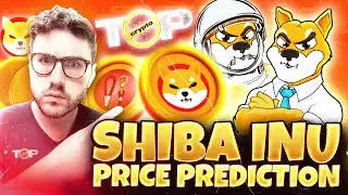 Shiba Inu Price Prediction | Shiba Inu Coin | How To Buy Shiba Inu