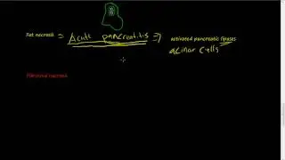 #9 - Macro Morphology of necrosis continued - Caseous necrosis, fat necrosis, Fibrinoid necrosis