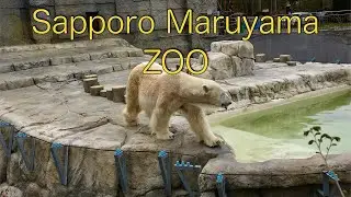 Sapporo Maruyama ZOO 【2022.GW】