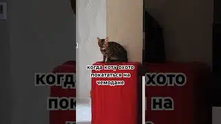 рек