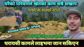 लाइभ छोडेर घरको काममा ब्यस्त,आमा खुसी, Paddy Working Video#vlog#