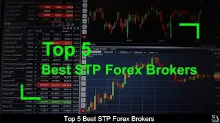 TOP 5 BEST Best STP Forex Brokers (revealed ) 🔎