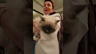 Муррр.