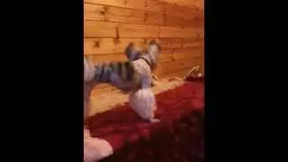 IMG 0941