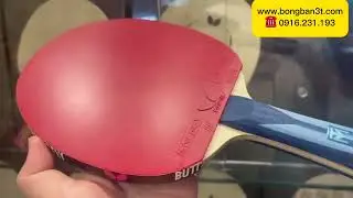 Bộ vợt bóng bàn Butterfly cơ bản - Timo Boll ALC + Tenergy 80 + Rozena #votbongbanbutterfly