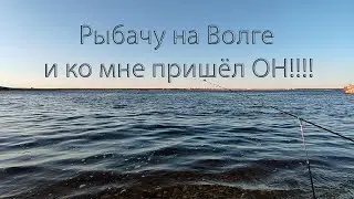 Волга в мае 2024