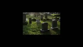 NEVER FORGET YOU-ERIE AVE MARZ