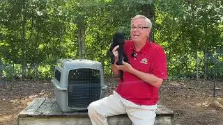 You MUST Know This When Crate Training Your German Shepherd