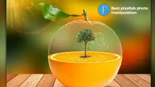Best pixellab manipulation: editing with 