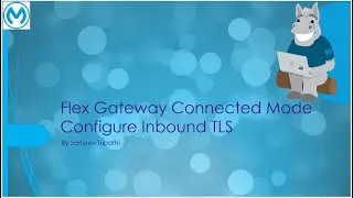 Flex Gateway Part V - TLS Context | Enable Inbound TLS on API added to Flex Gateway | Secret Manager