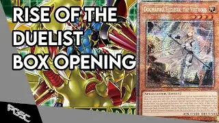 Rise of the Duelist Box Opening Ft. Starlight Rare Ecclesia
