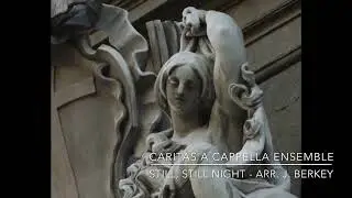 Still, Still Night (Silent Night) - arr. Jackson Berkey