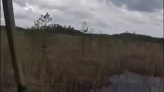 Покоряем болота Карелии