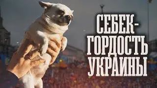 Себек - гордость Украины