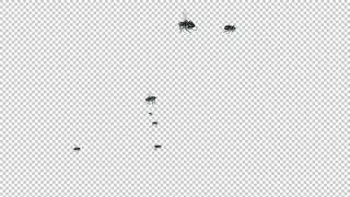 House Fly Swarm of 7 - Noisy Flying Over Screen - Transparent Loop