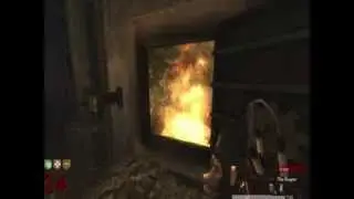 BURN TOY MONKEY BURN! CoD WAW