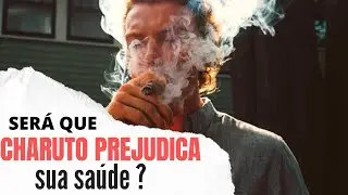 Charuto é menos nocivo que cigarro ? - Novo estudo traz revelações