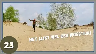 HULSHORSTERZAND een WOESTIJN op de NOORD VELUWE - wandelvlog 23