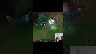 Leona Support 