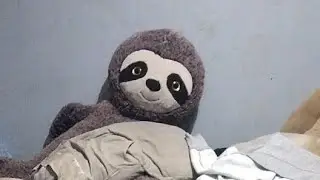 SLEEP STREAM!!!!!! ( ROAD TO 2K SUBS)