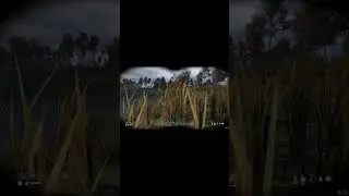МЯу НА**Й 