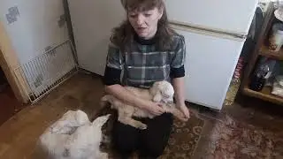 A kid without a butt