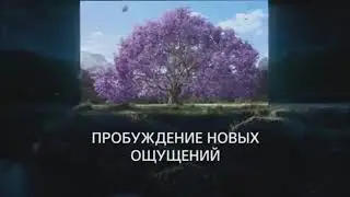 Реклама Sony