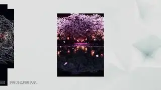 ANIMATION